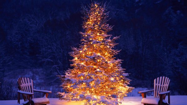best places to visit in christmas in india - Manali
