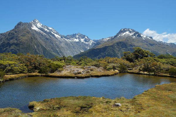 New Zealand road trip in Routeburn Track