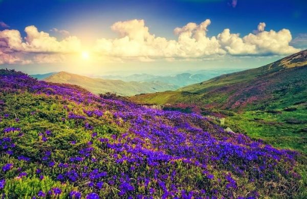 Places to visit during winters Neelakurinji from Bangalore