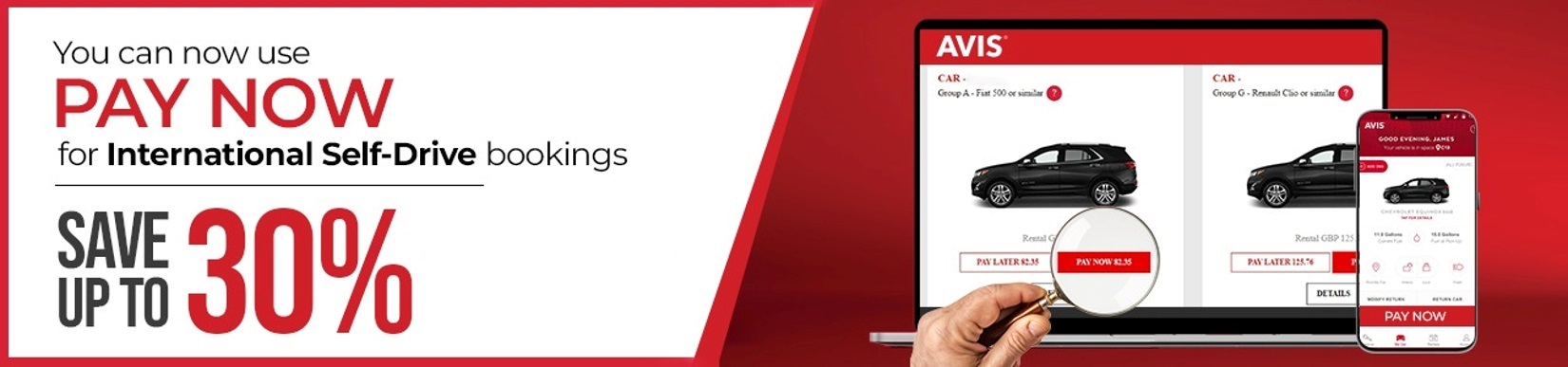 avis-paynow-international